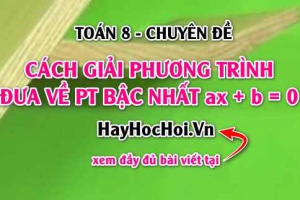 Cách giải phương trình đưa được về dạng phương trình bậc nhất ax+b=0 và bài tập Toán 8